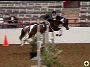 World Champion Jumping, 1991